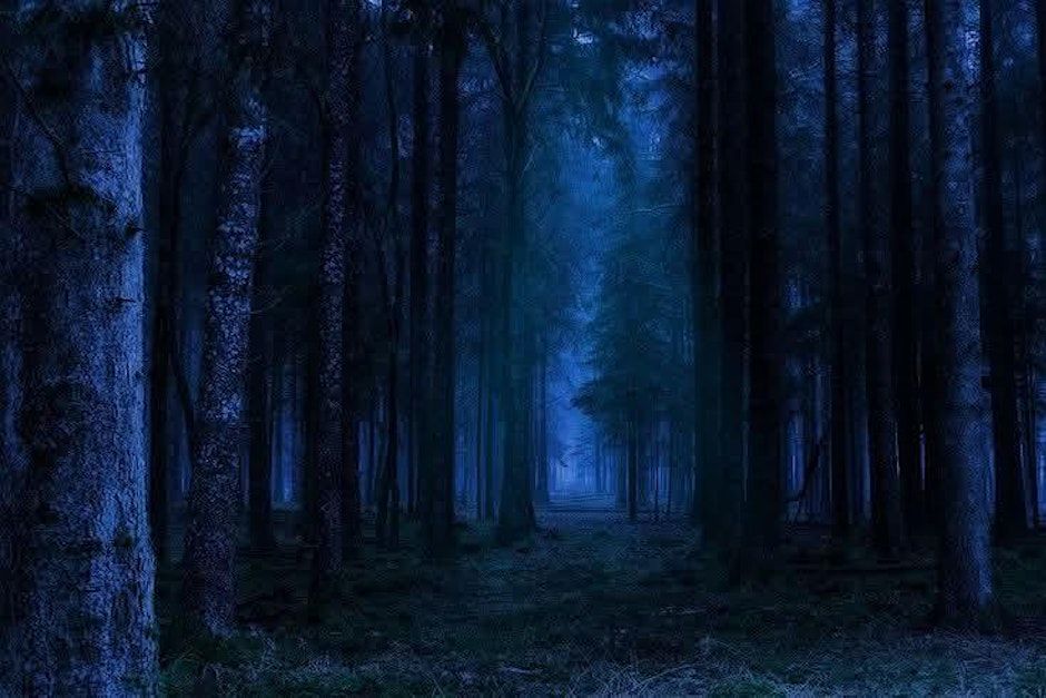 Cooley Nightwalk