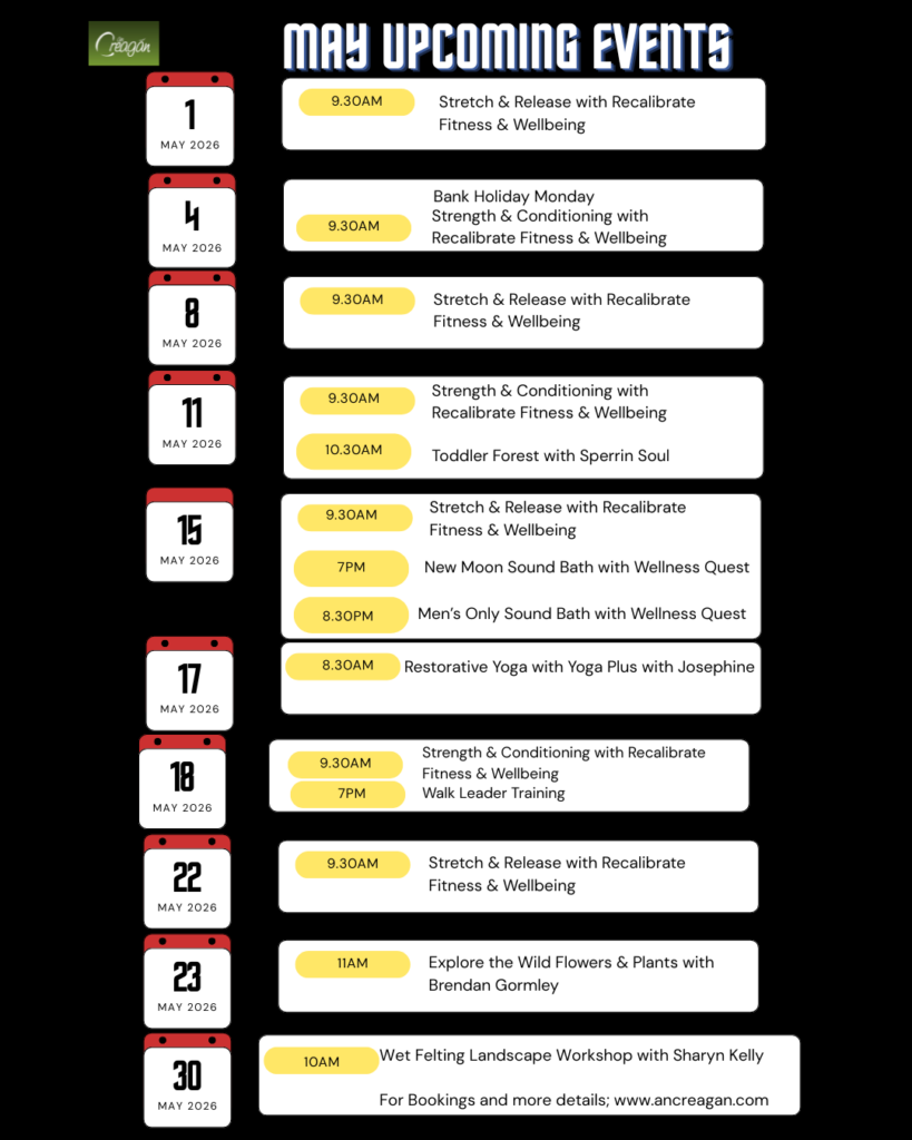 Black and Yellow Modern Upcoming Events Flyer (Instagram Post (45))
