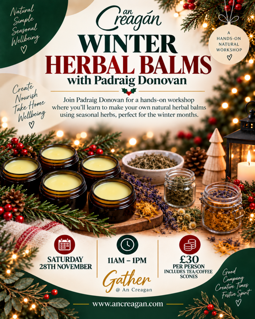 Winter_Herbal_Balms_Instagram_Post